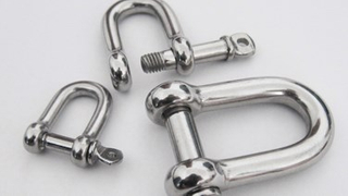  Stainless Steel Shackle / JIS D Shackle